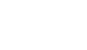Erste Group IT