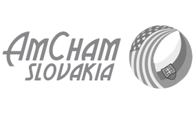amcham logo