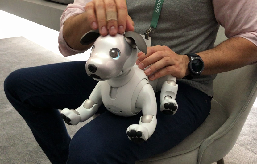 aibo robot dog